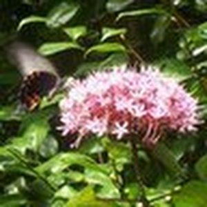 Meet your Posher, Louann